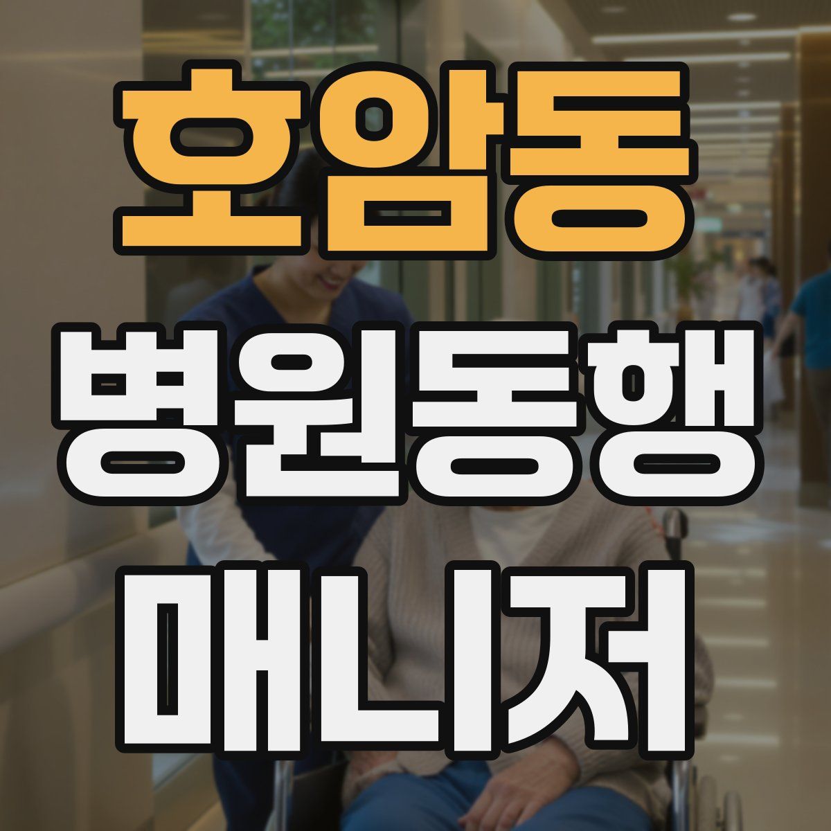 호암동 병원동행매니저 자격증