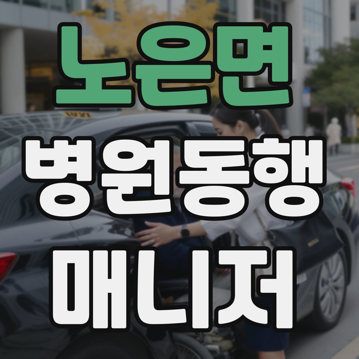 노은면 병원동행매니저 자격증