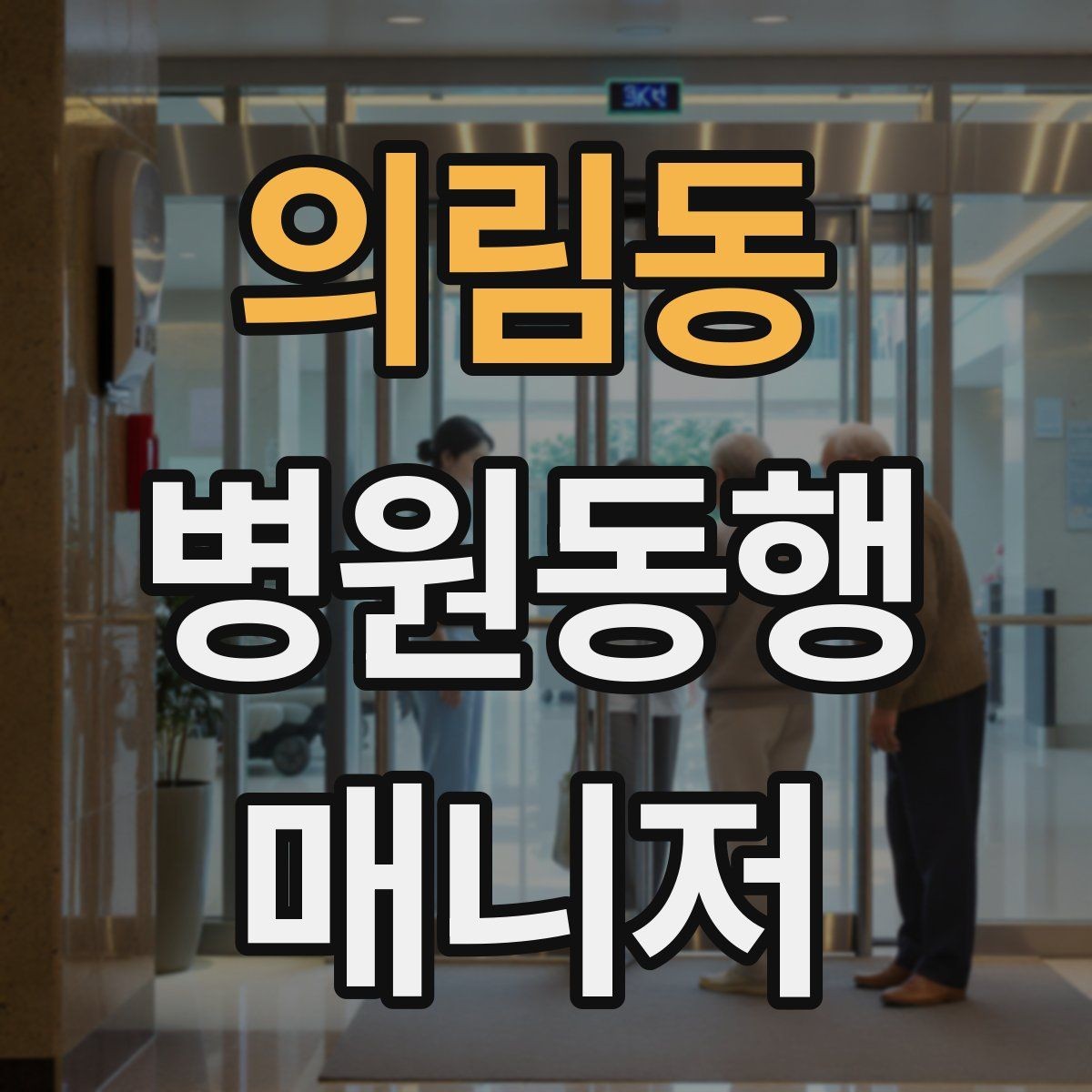 의림동 병원동행매니저 자격증 한 번에 이해하는 동행업무 핵심 정리