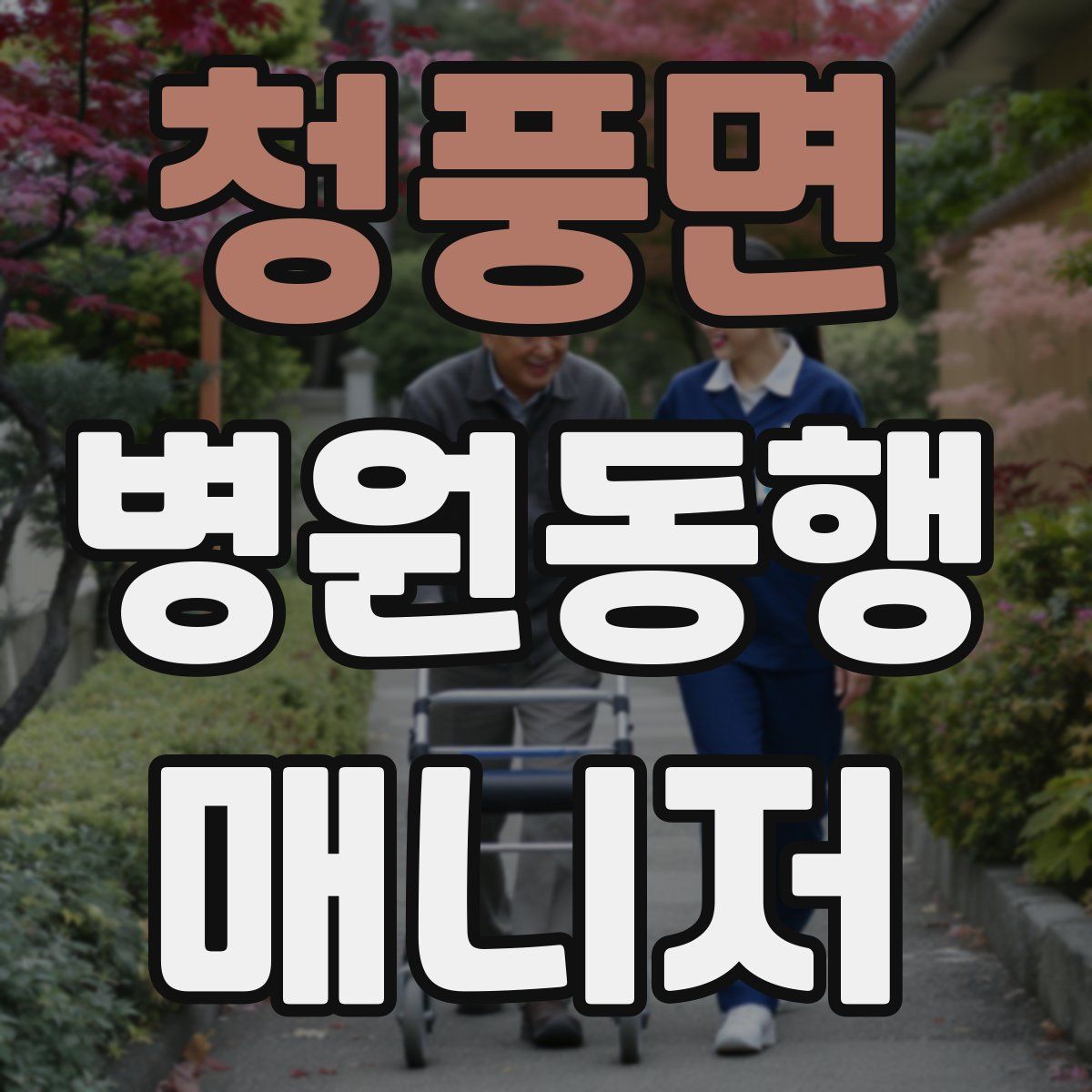 청풍면 병원동행매니저 자격증