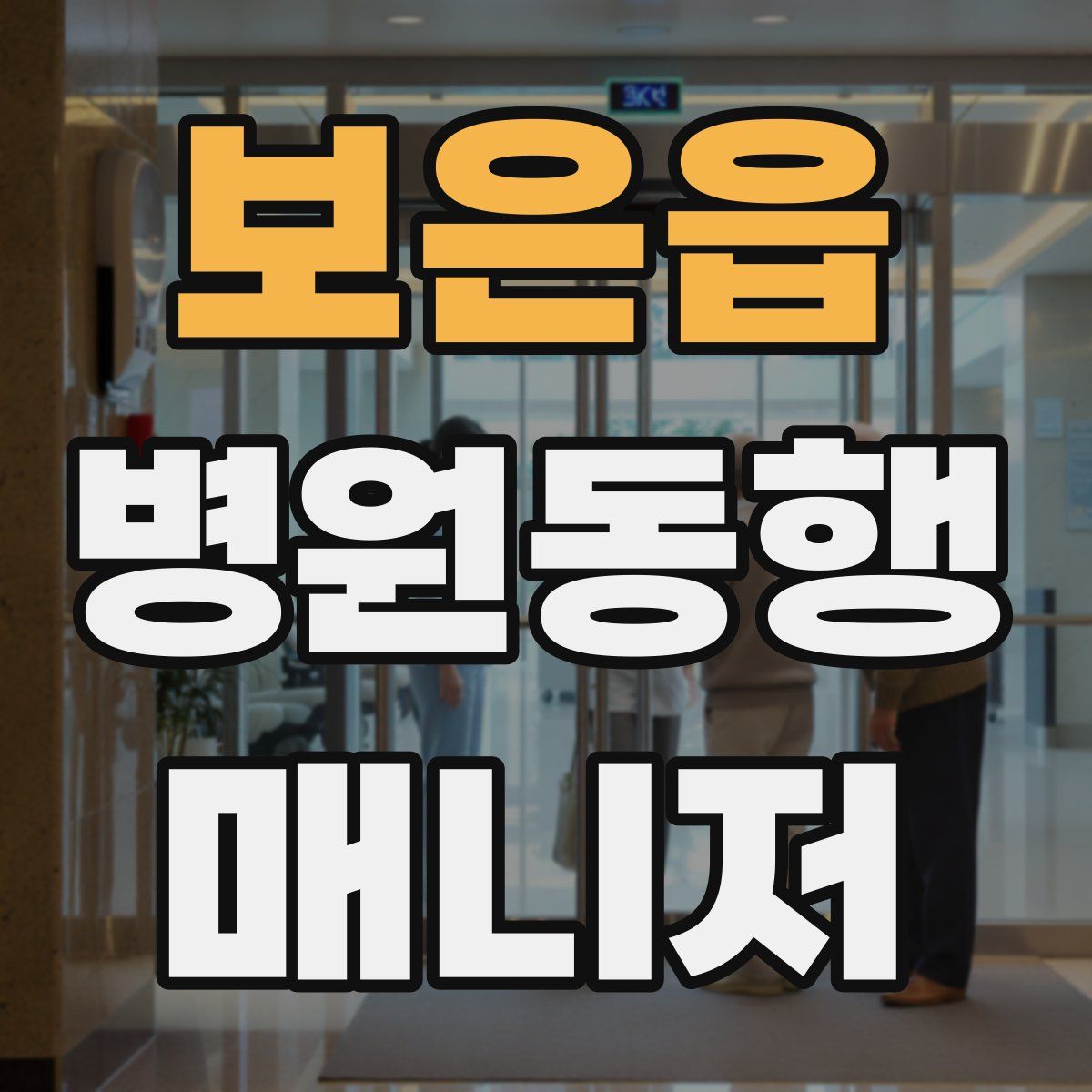 보은읍 병원동행매니저 자격증