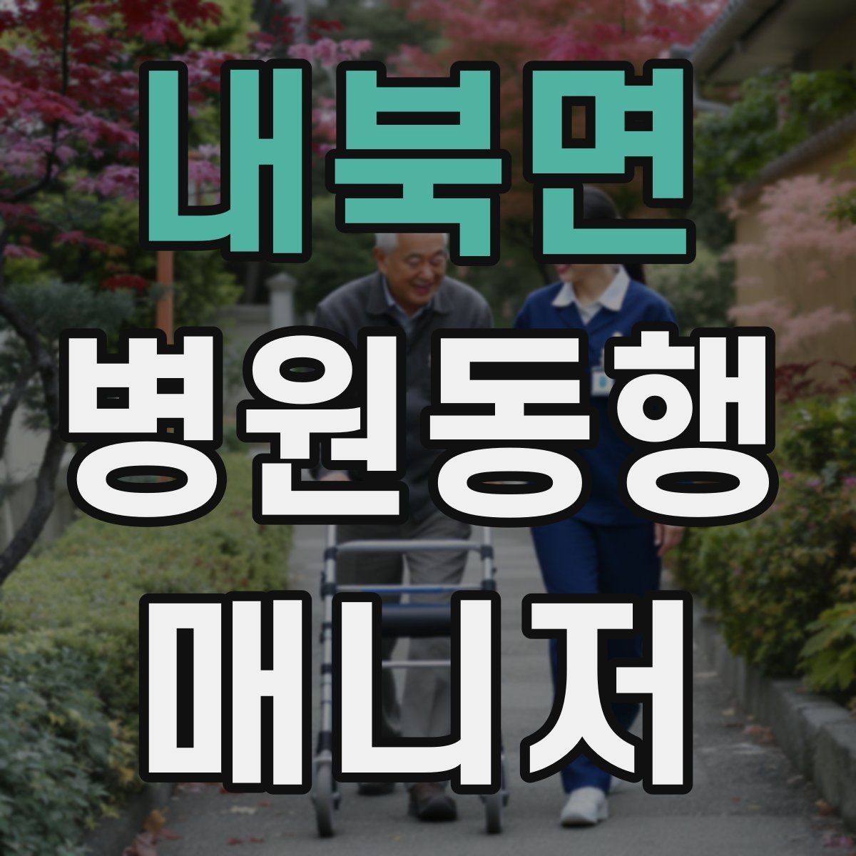 내북면 병원동행매니저 자격증 준비 전에 알아두면 좋은 기본 역할