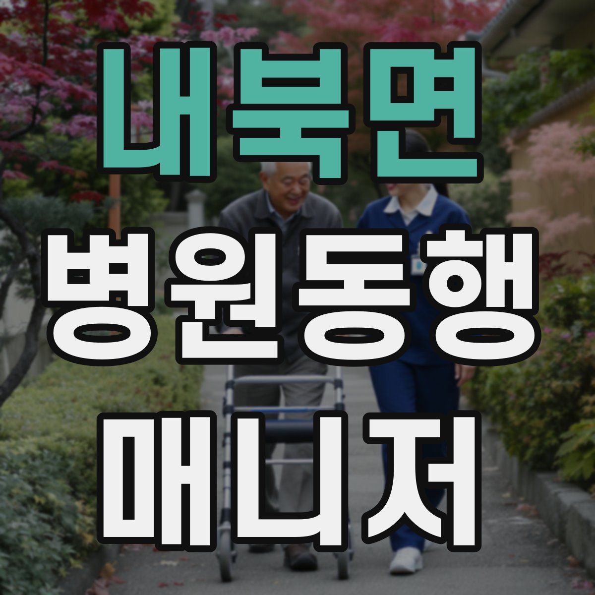 내북면 병원동행매니저 자격증