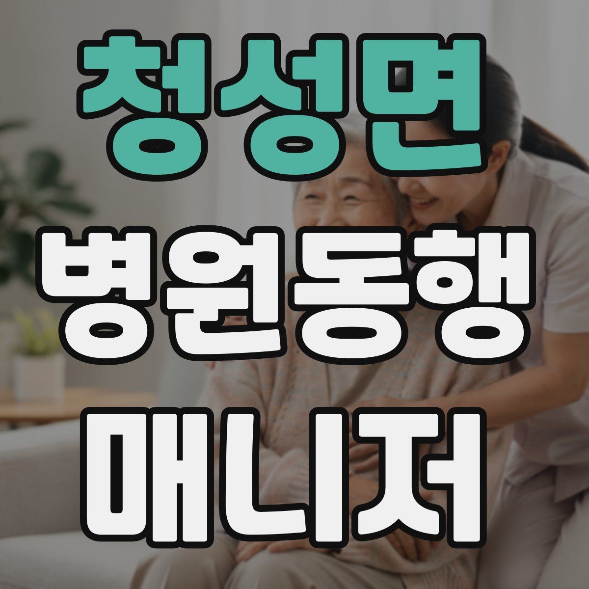 청성면 병원동행매니저 자격증