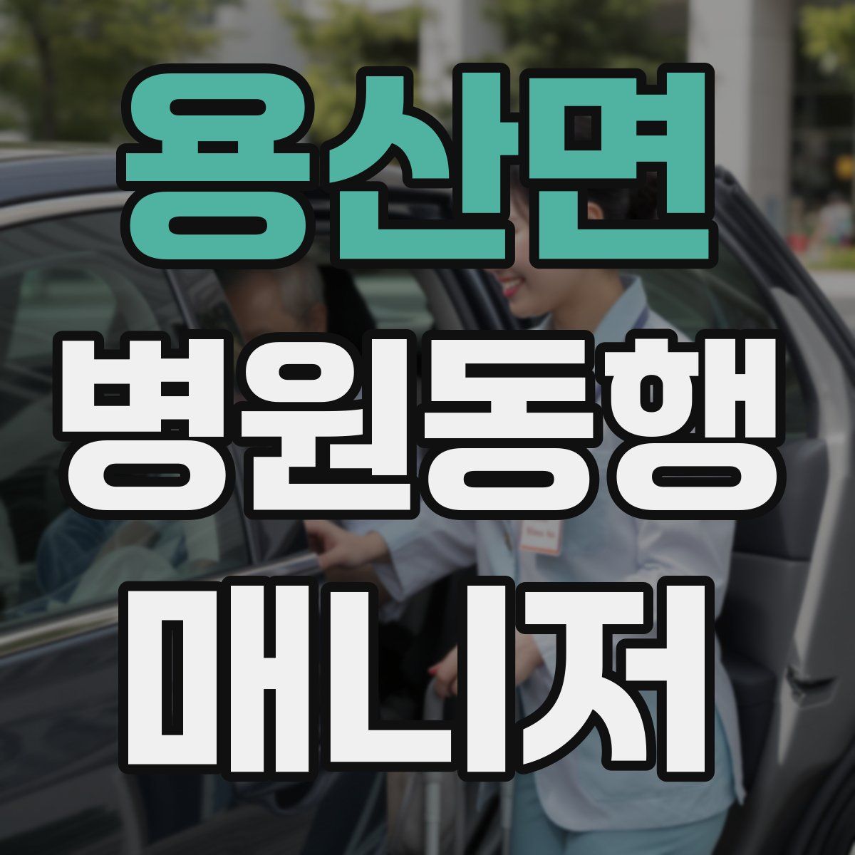 용산면 병원동행매니저 자격증