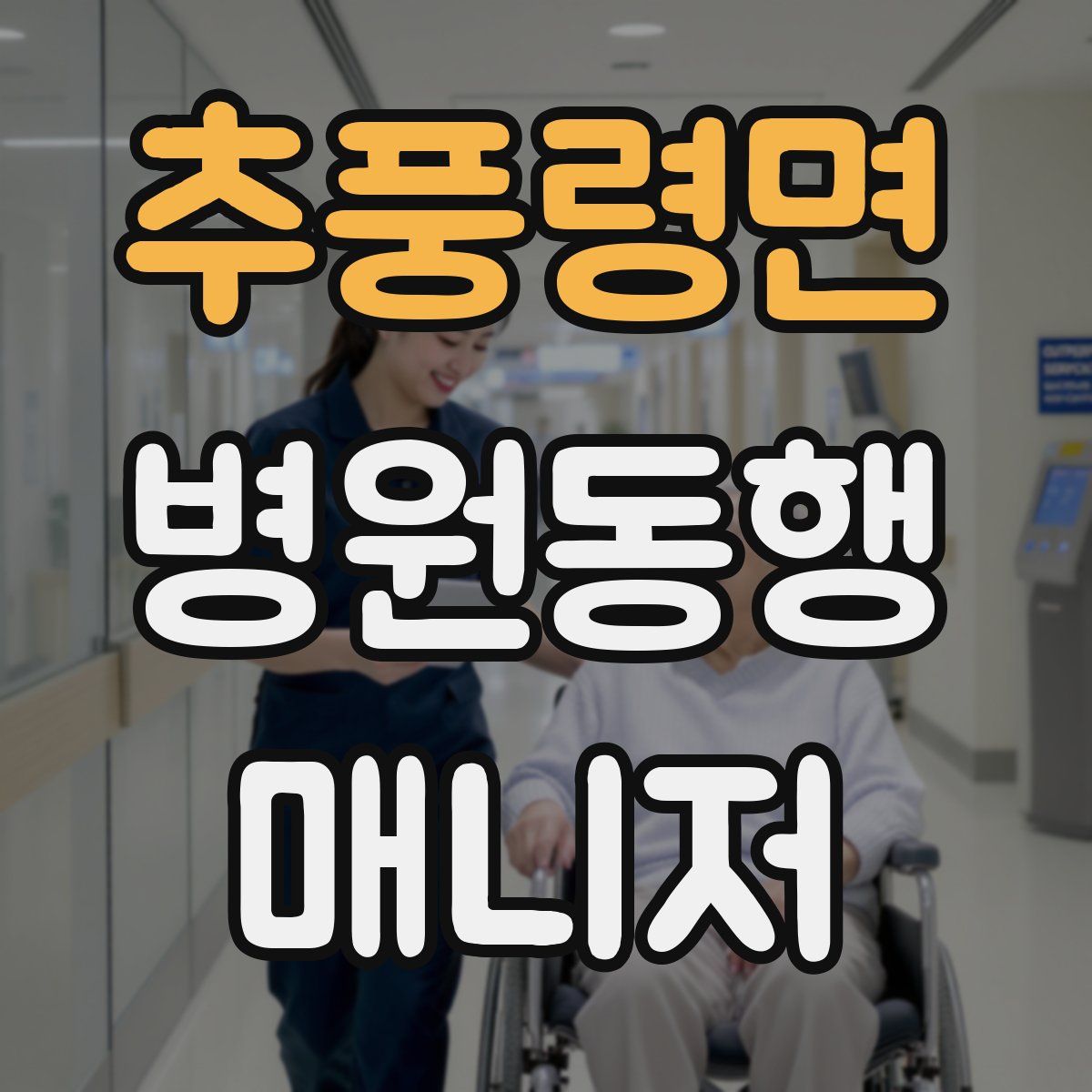 추풍령면 병원동행매니저 자격증