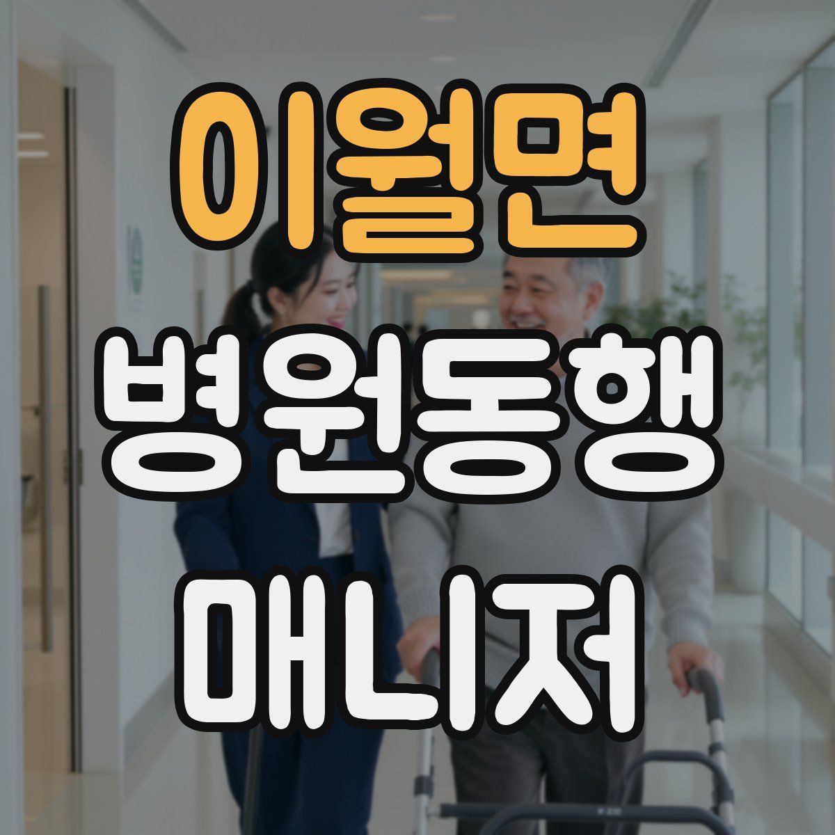 이월면 병원동행매니저 자격증