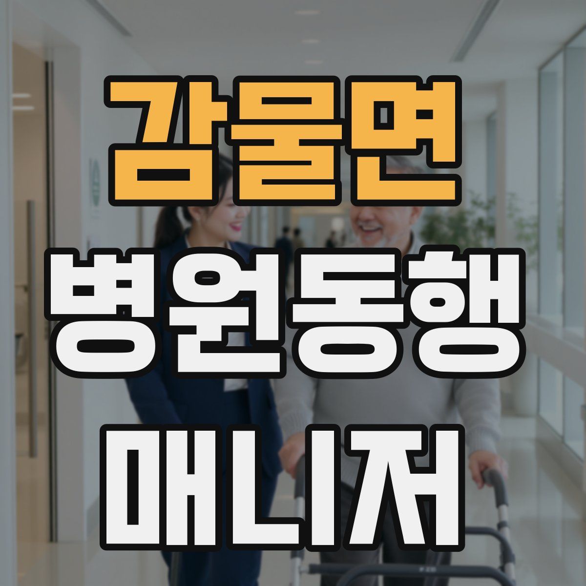 감물면 병원동행매니저 자격증