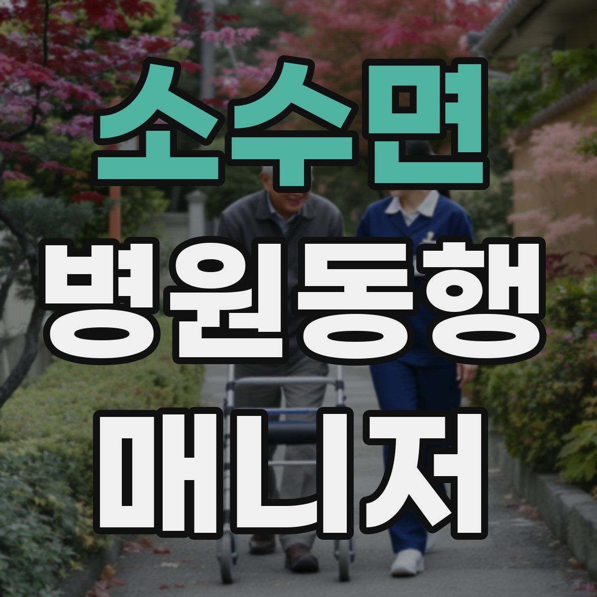 소수면 병원동행매니저 자격증