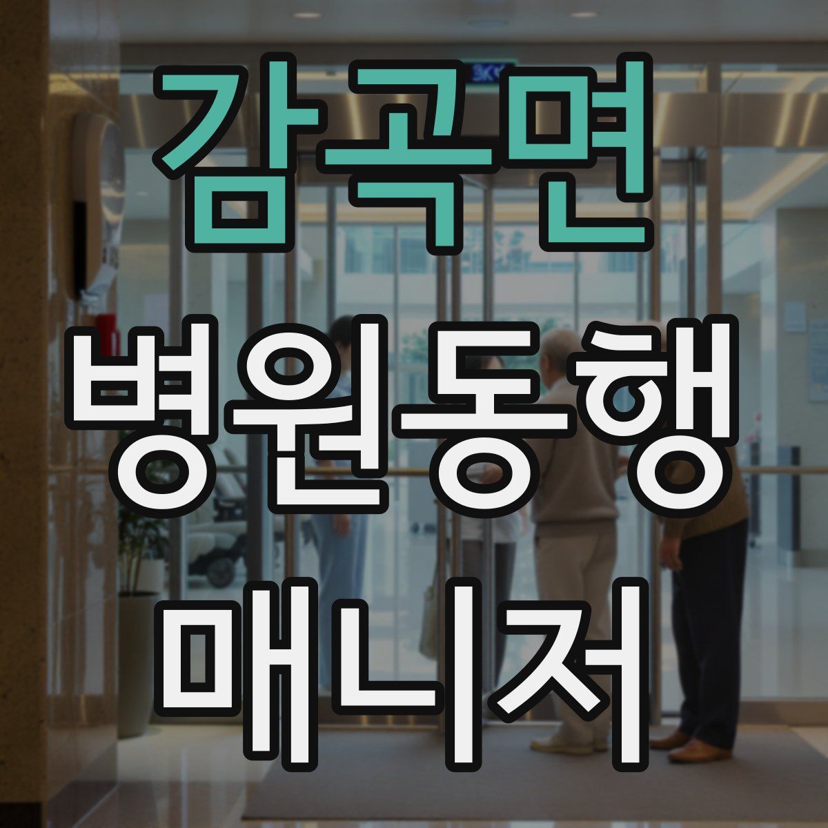 감곡면 병원동행매니저 자격증