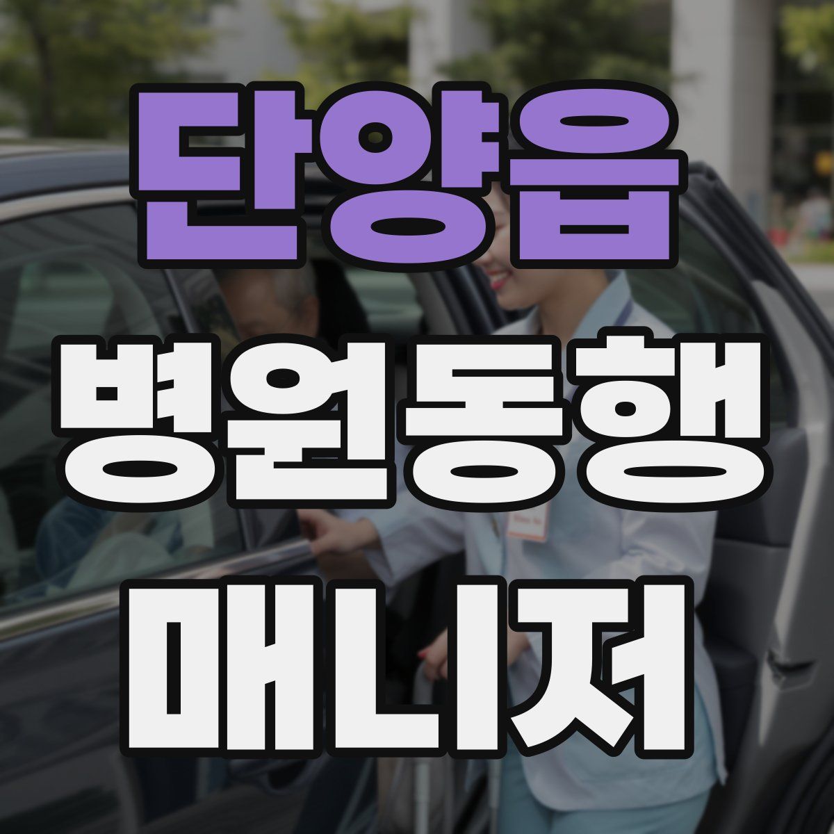 단양읍 병원동행매니저 자격증