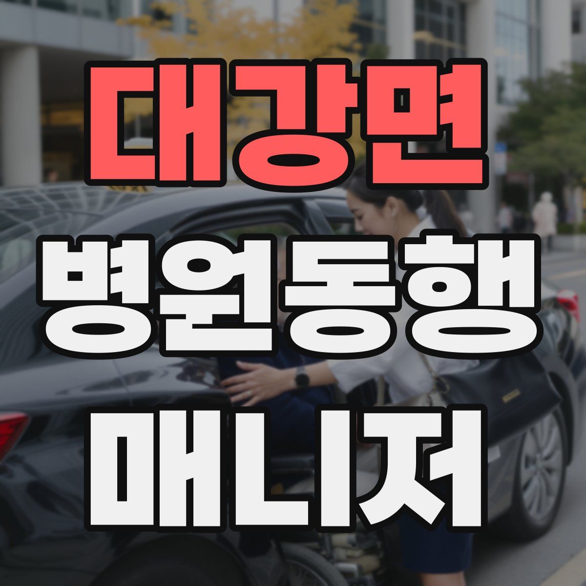 대강면 병원동행매니저 자격증