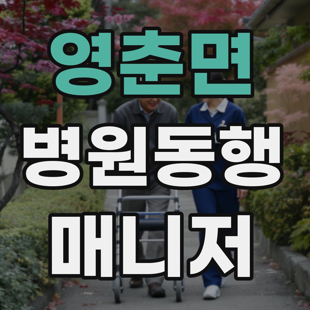 영춘면 병원동행매니저 자격증