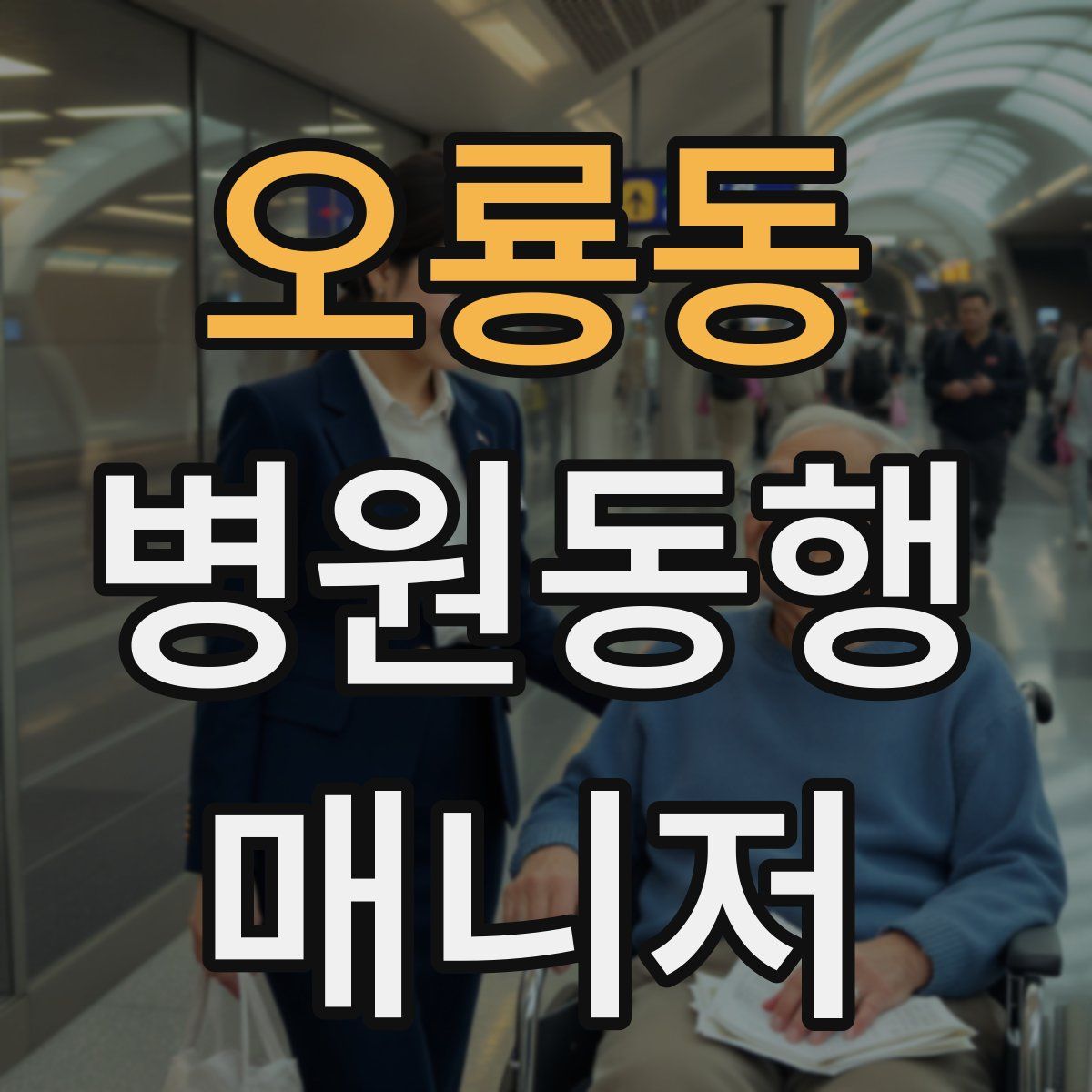 오룡동 병원동행매니저 자격증