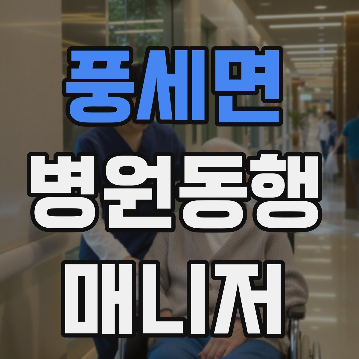 풍세면 병원동행매니저 자격증