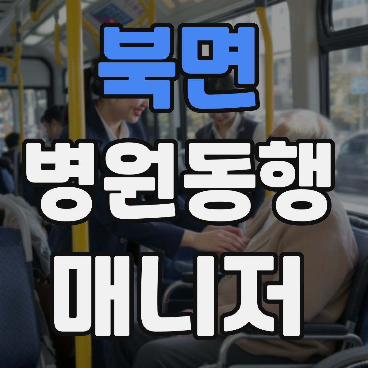 북면 병원동행매니저 자격증