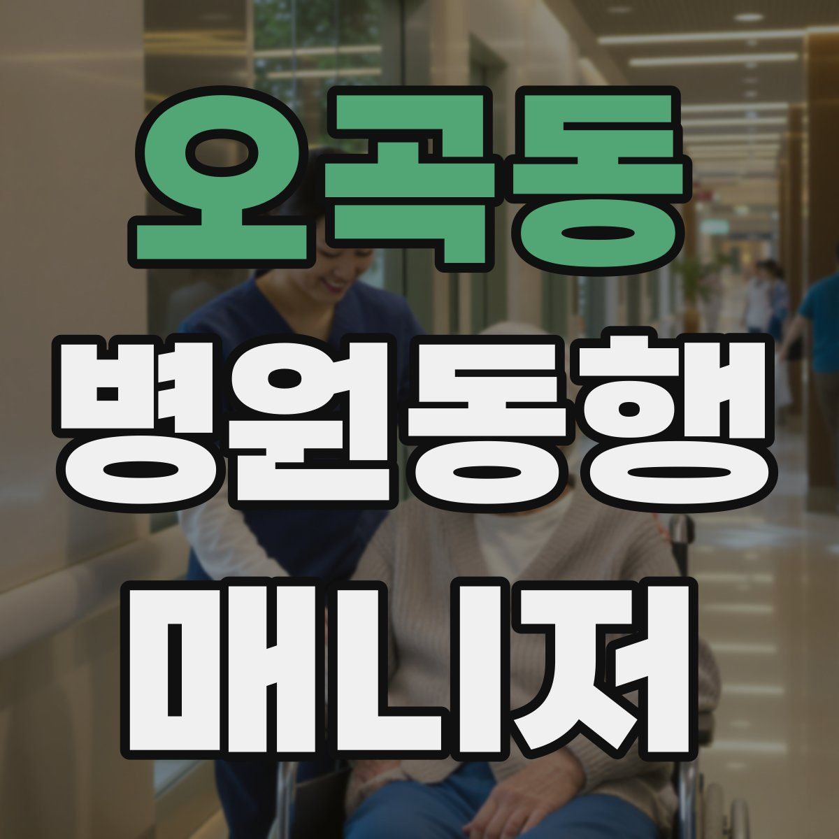 오곡동 병원동행매니저 자격증