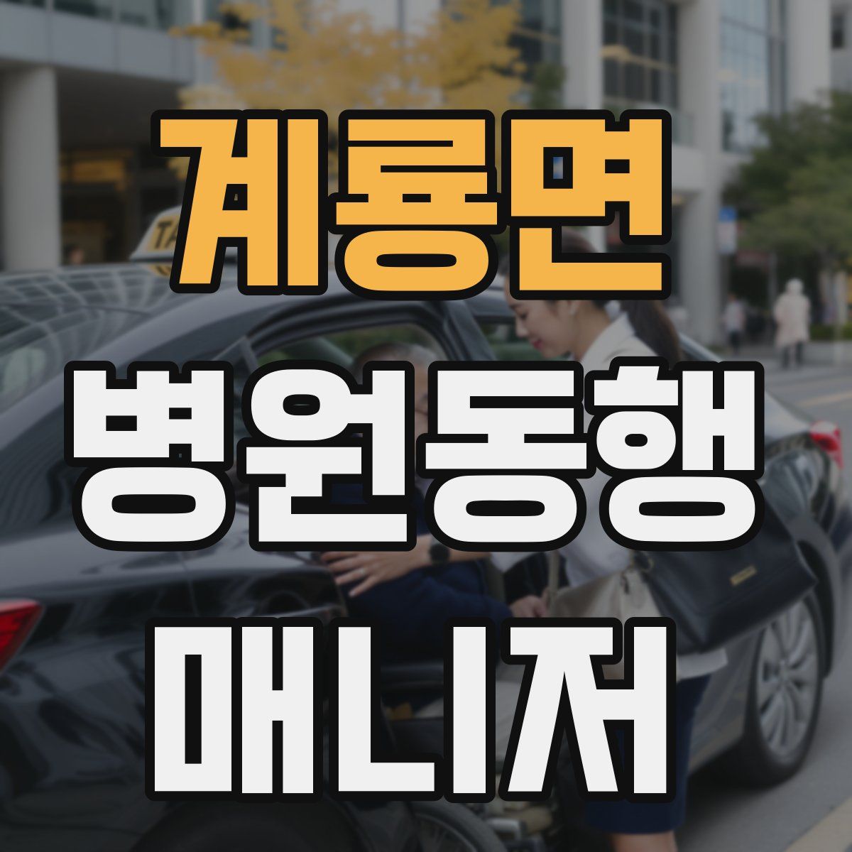 계룡면 병원동행매니저 자격증