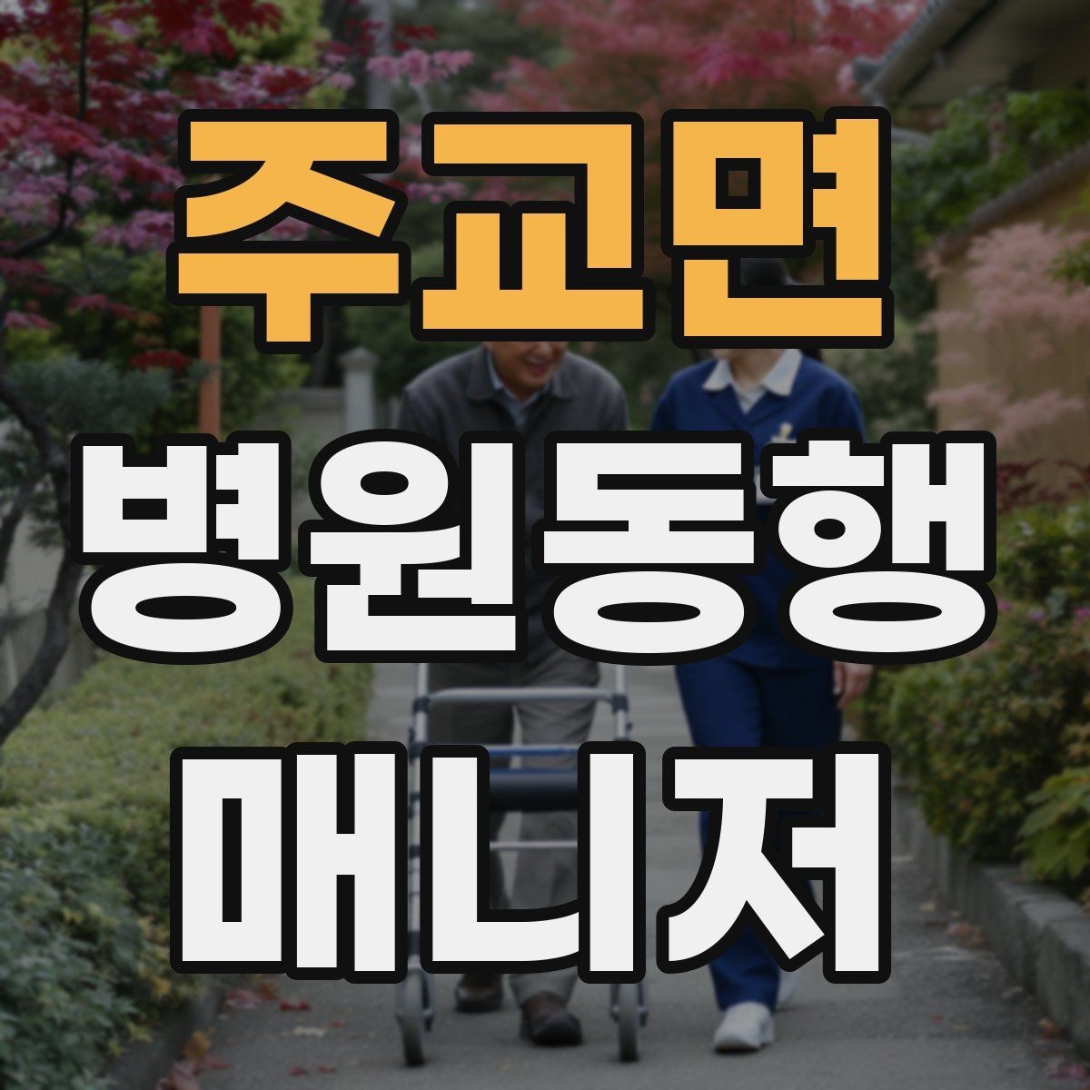 주교면 병원동행매니저 자격증 병원 간 이동이 있을 때 계획 세우기