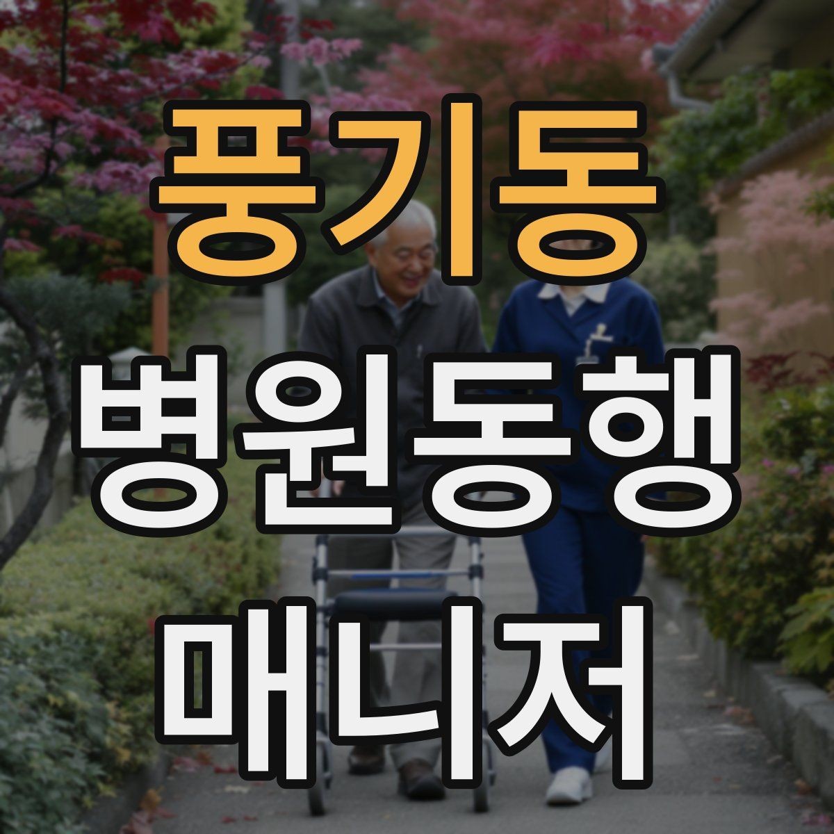 풍기동 병원동행매니저 자격증 정기 검진 동행을 준비하는 요령