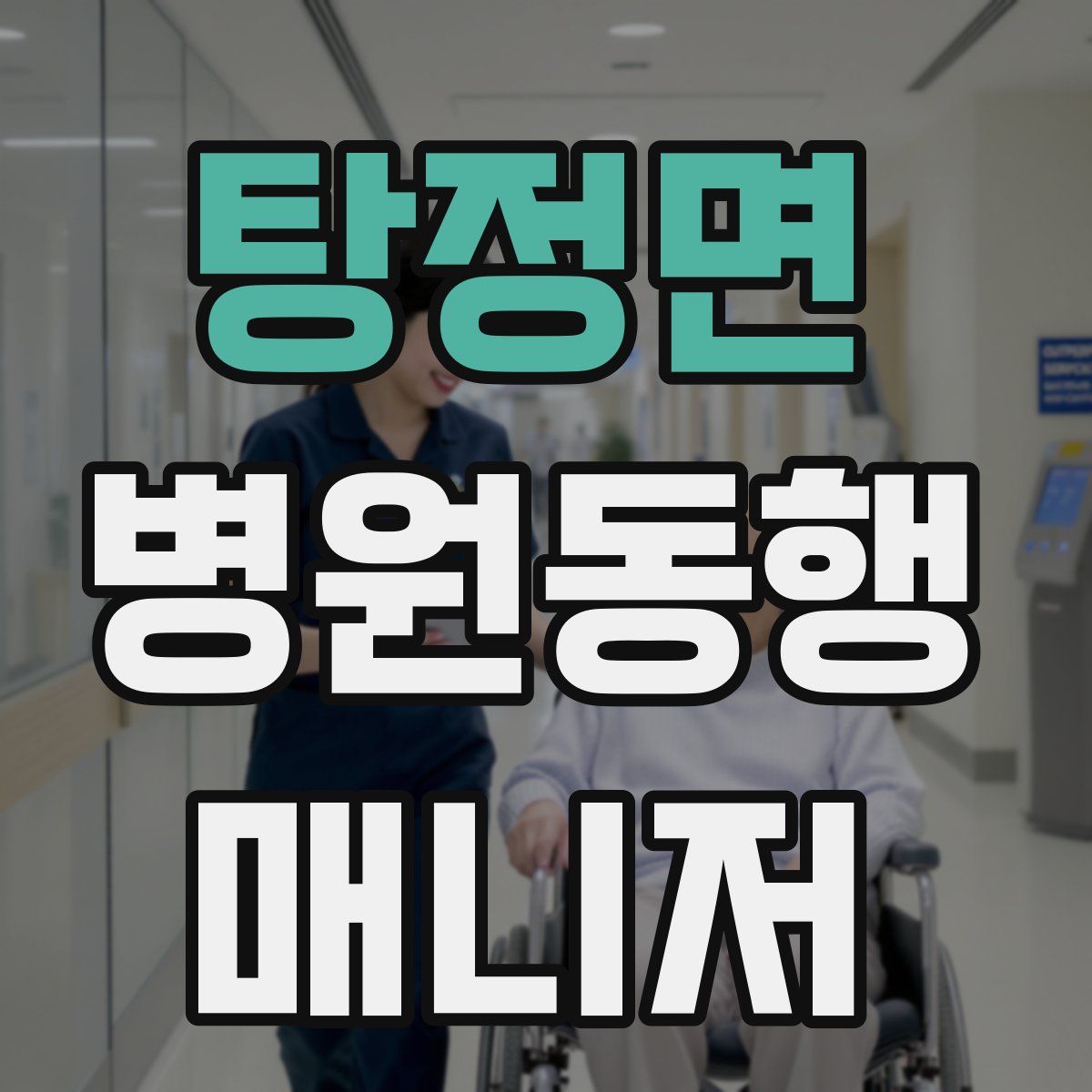 탕정면 병원동행매니저 자격증