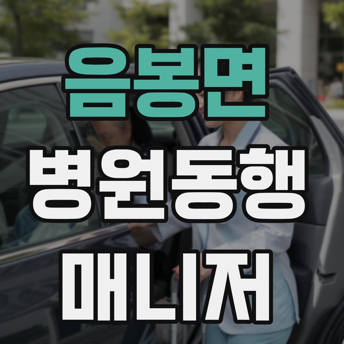 음봉면 병원동행매니저 자격증