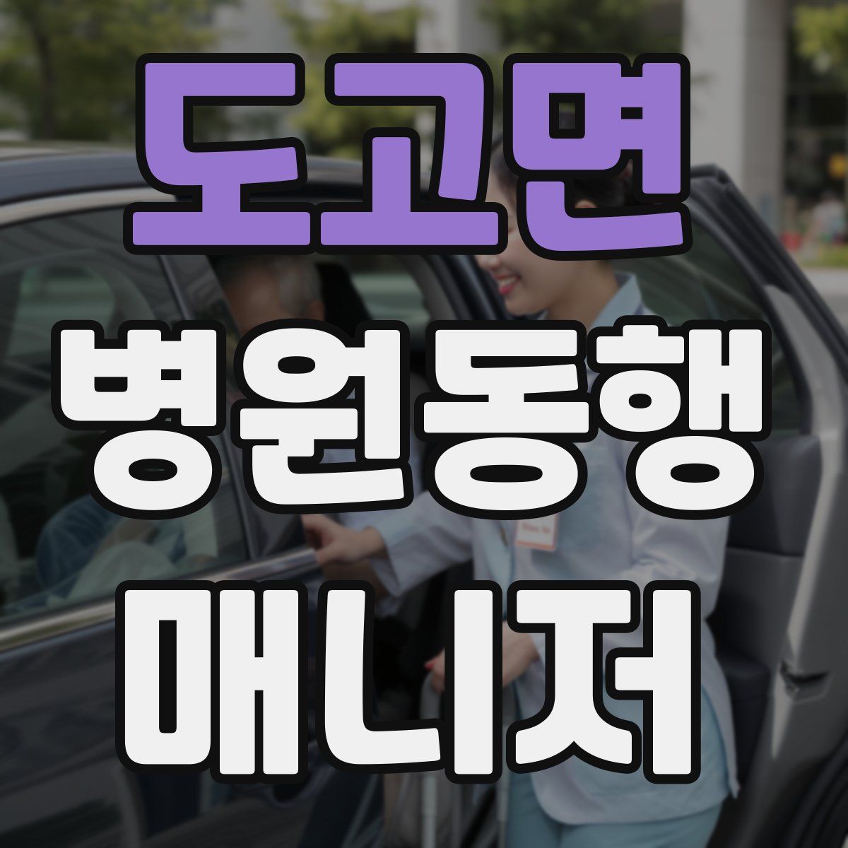 도고면 병원동행매니저 자격증