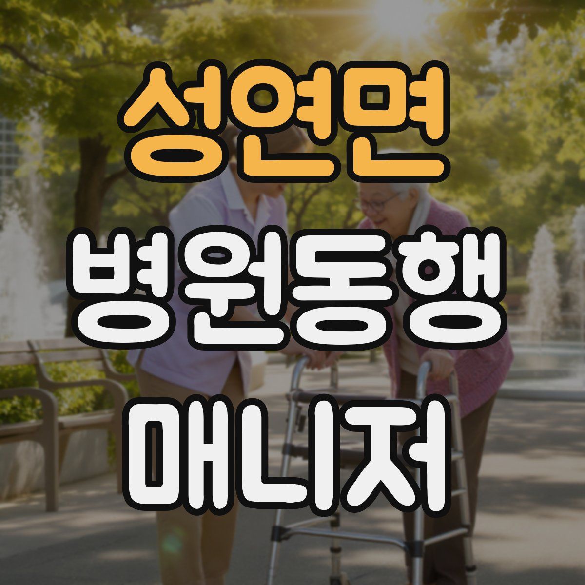 성연면 병원동행매니저 자격증