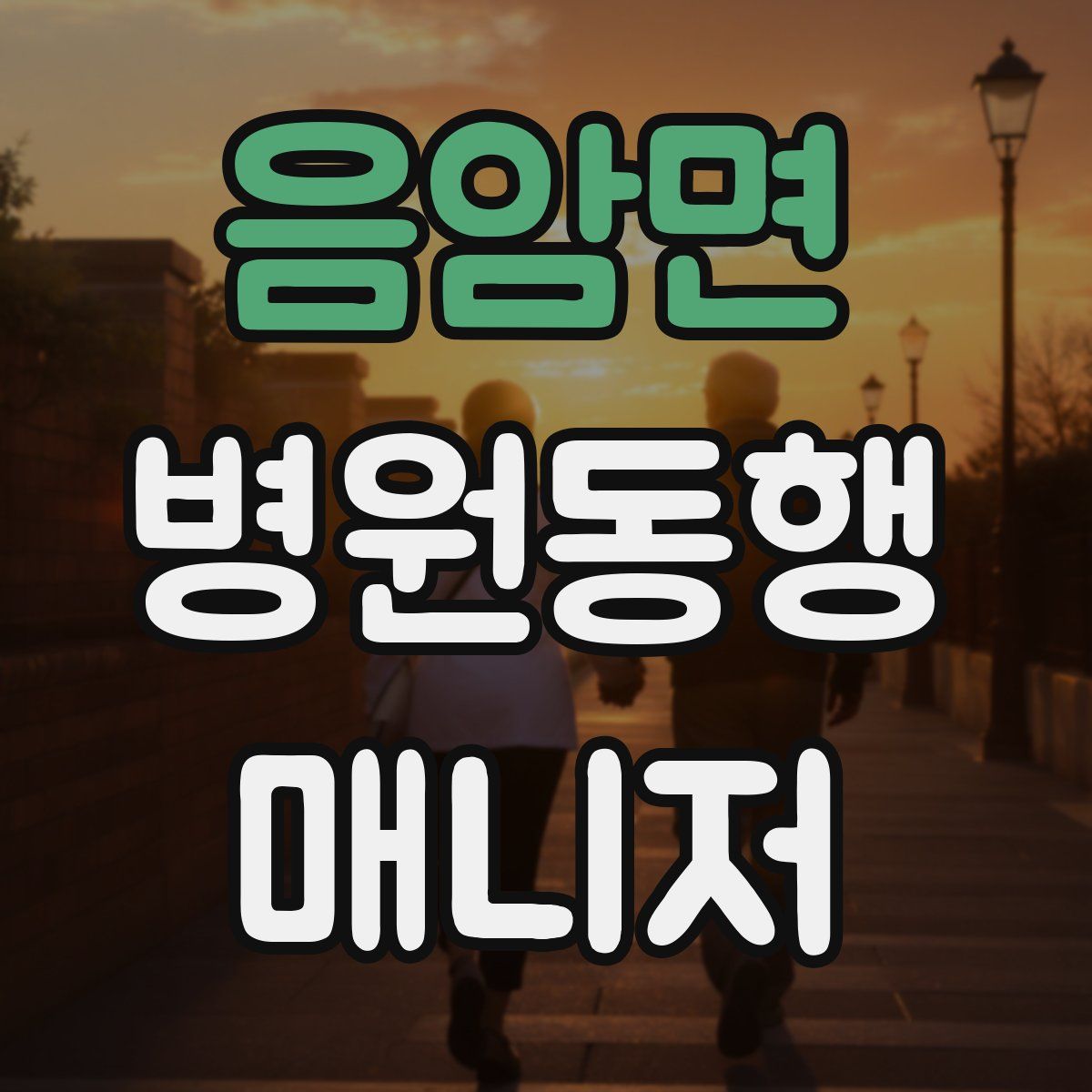 음암면 병원동행매니저 자격증