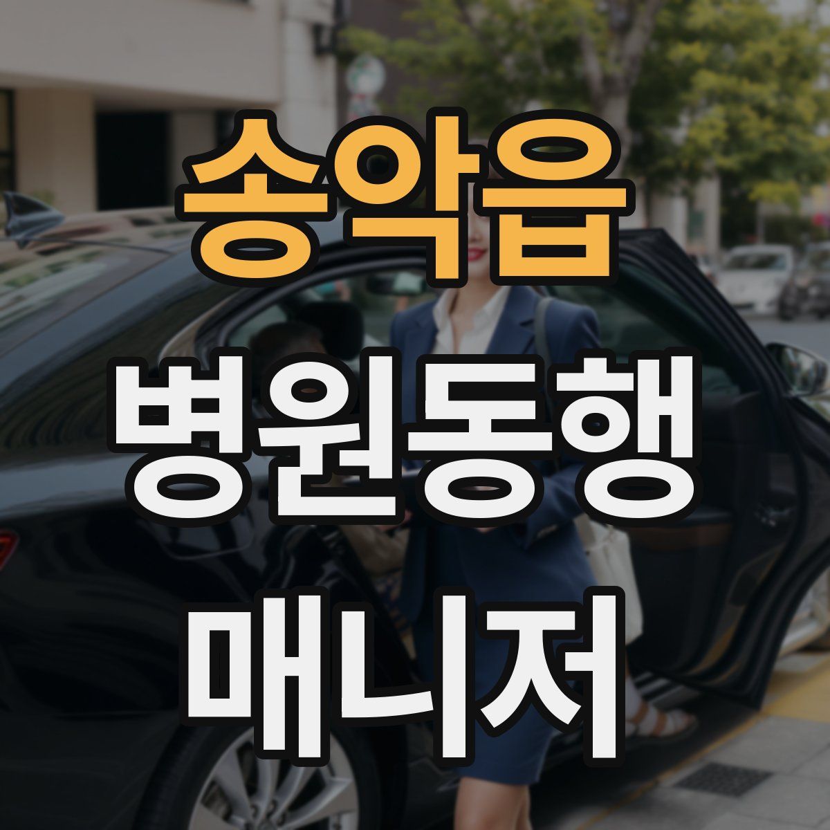 송악읍 병원동행매니저 자격증