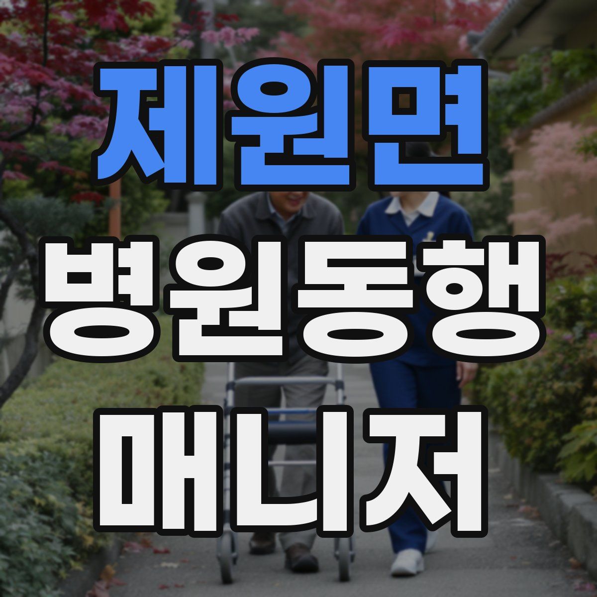 제원면 병원동행매니저 자격증