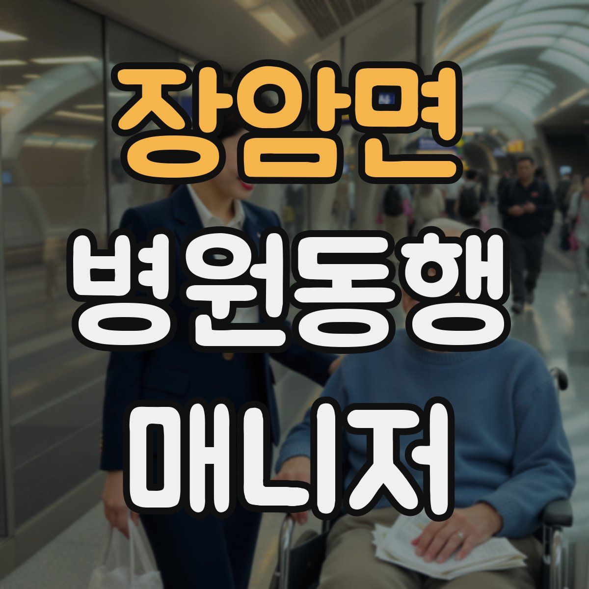 장암면 병원동행매니저 자격증