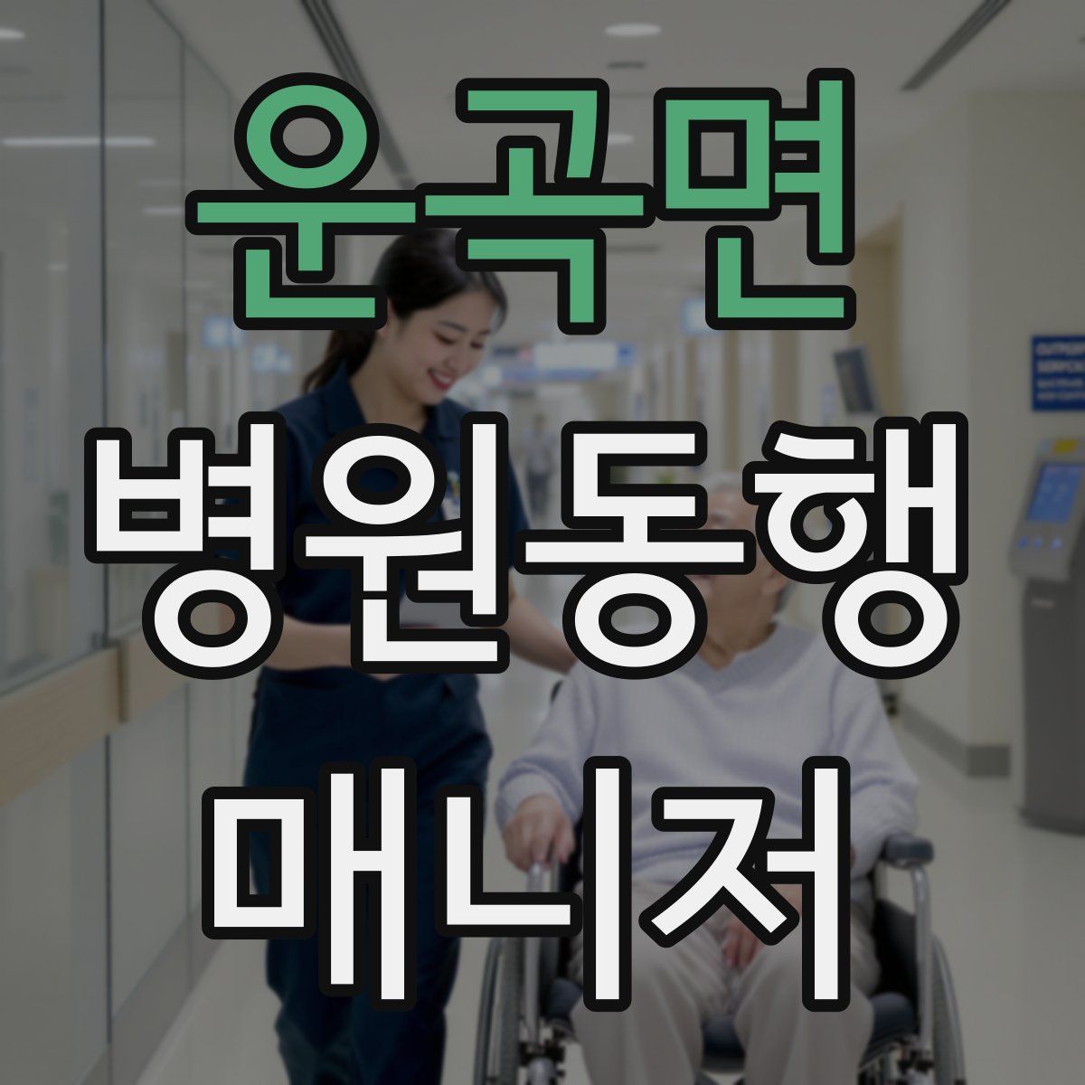 운곡면 병원동행매니저 자격증