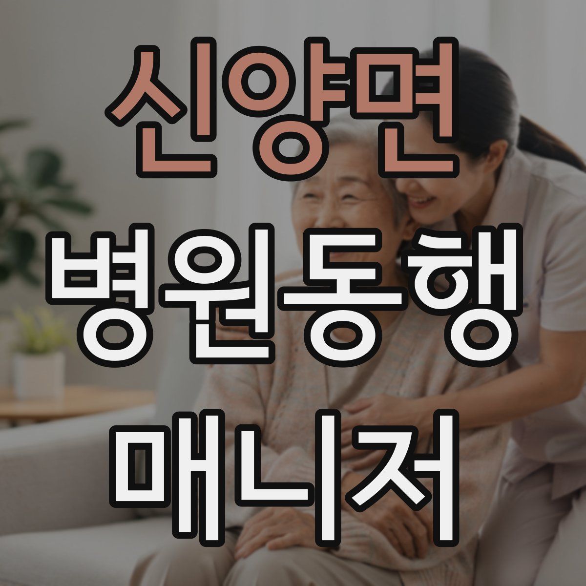 신양면 병원동행매니저 자격증