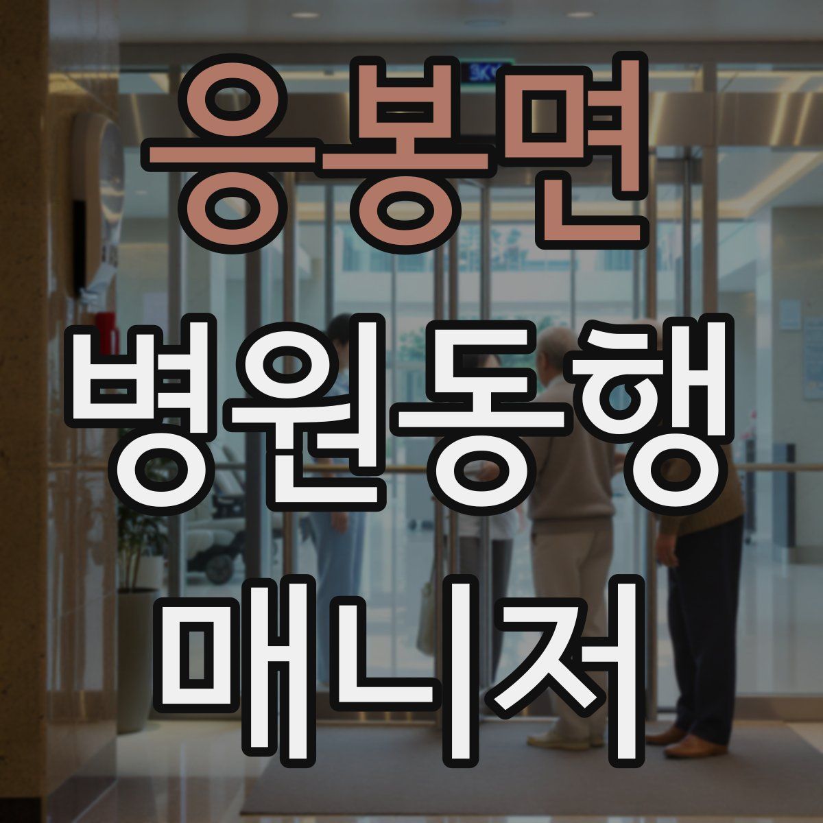 응봉면 병원동행매니저 자격증