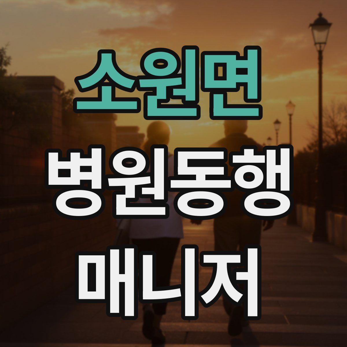 소원면 병원동행매니저 자격증