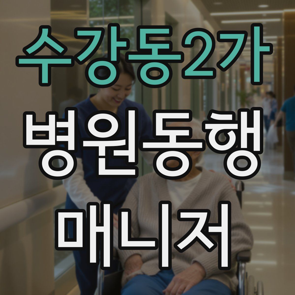 수강동2가 병원동행매니저 자격증