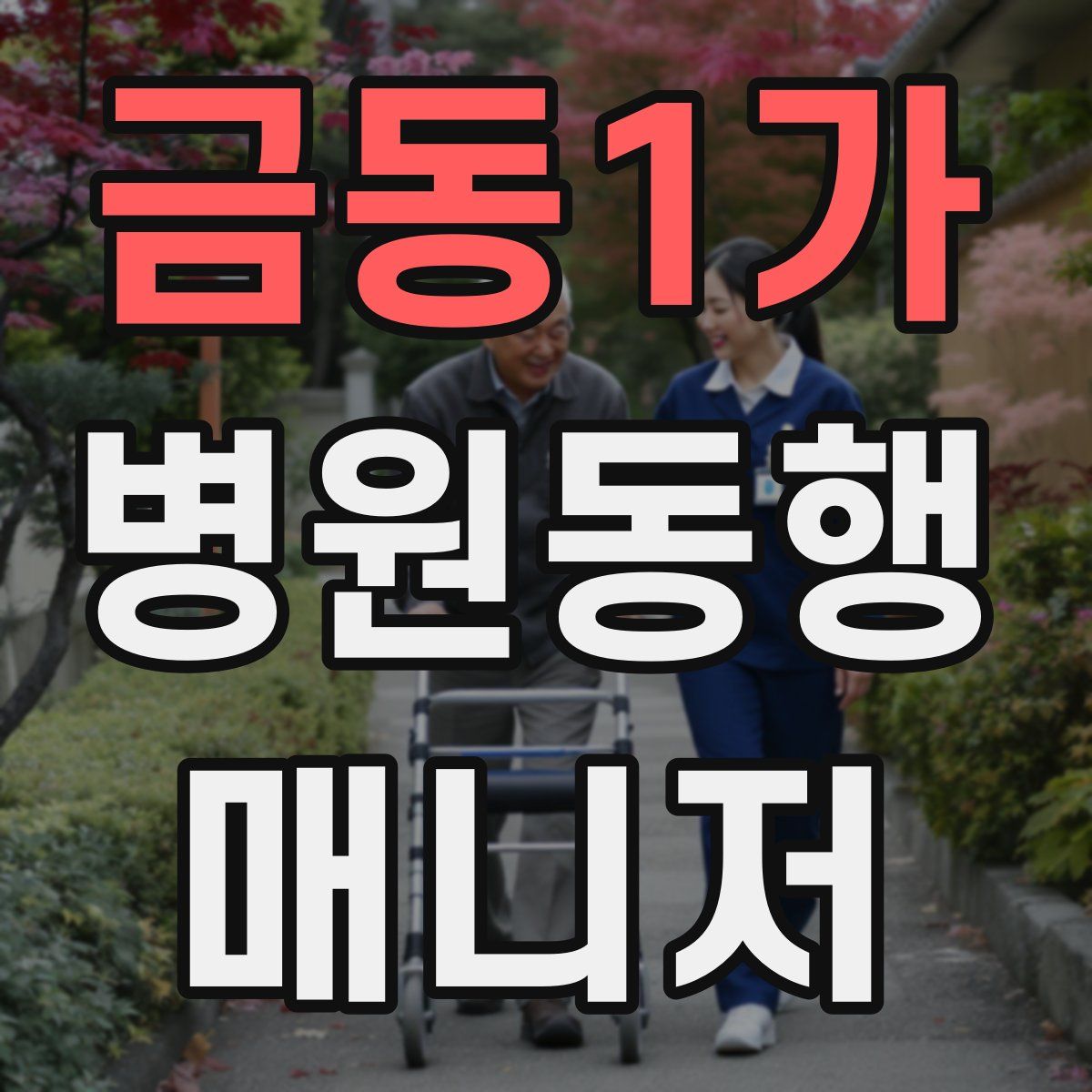 금동1가 병원동행매니저 자격증