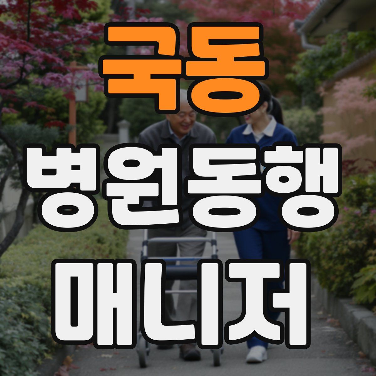 국동 병원동행매니저 자격증