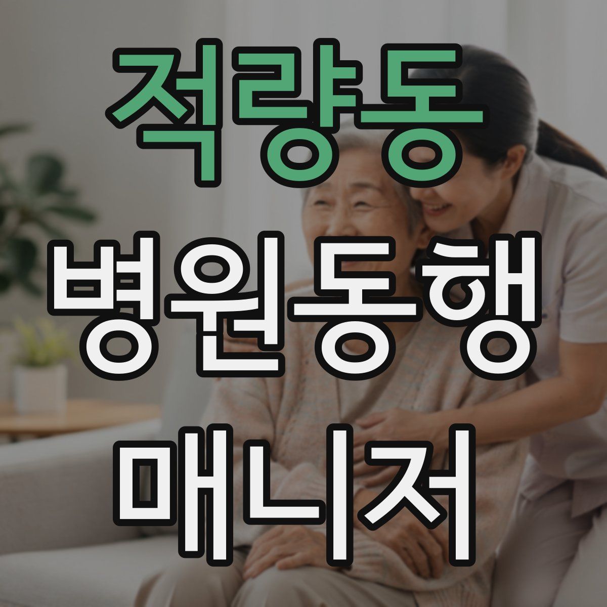 적량동 병원동행매니저 자격증