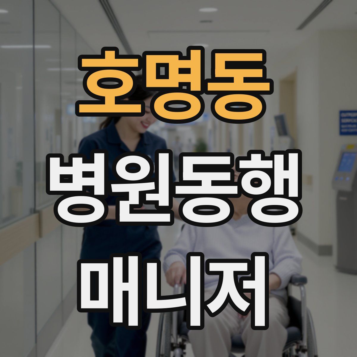 호명동 병원동행매니저 자격증