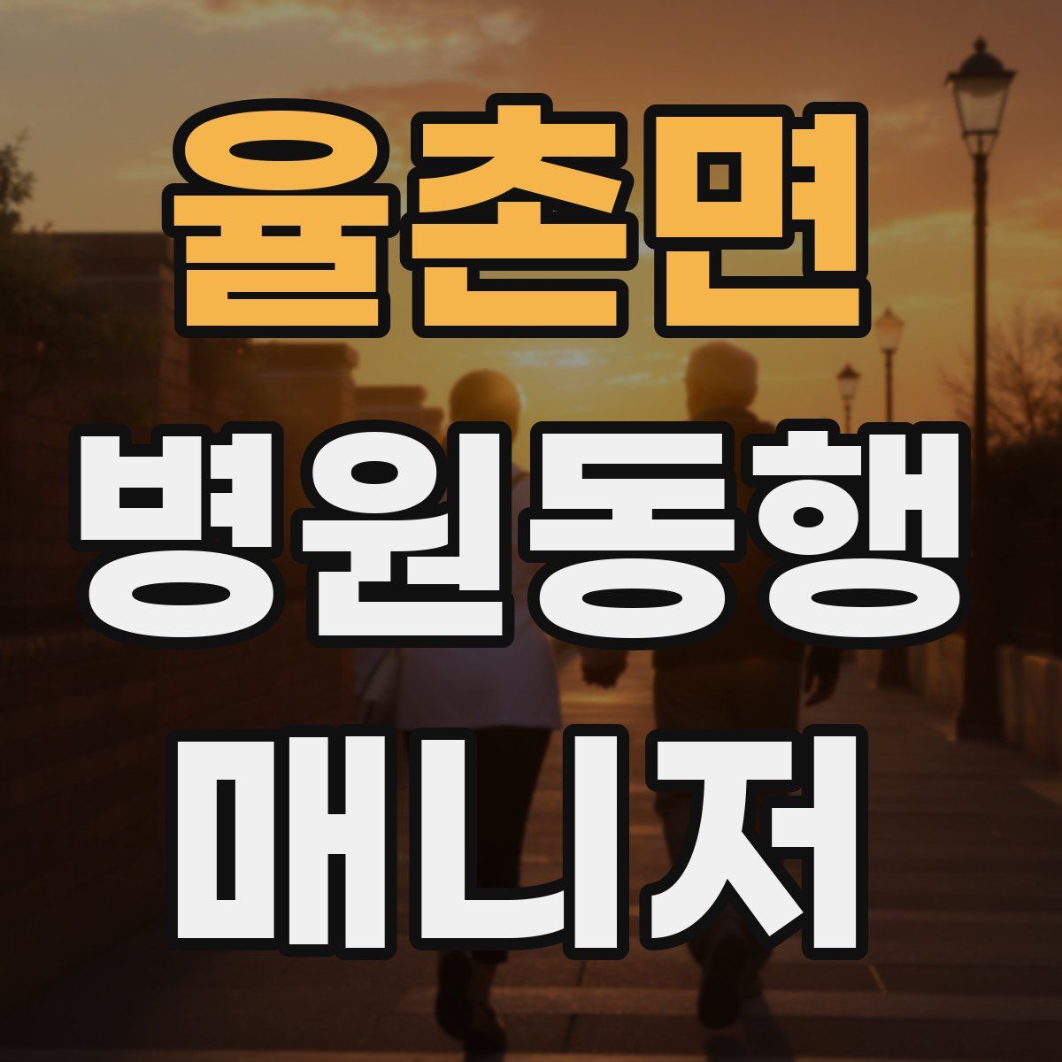 율촌면 병원동행매니저 자격증
