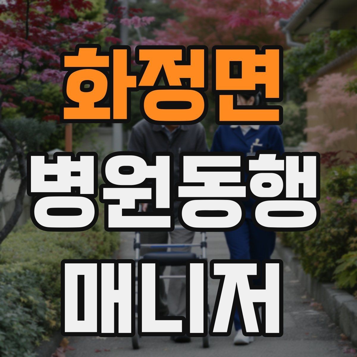 화정면 병원동행매니저 자격증 우천 시 이동 안전을 챙기는 방법
