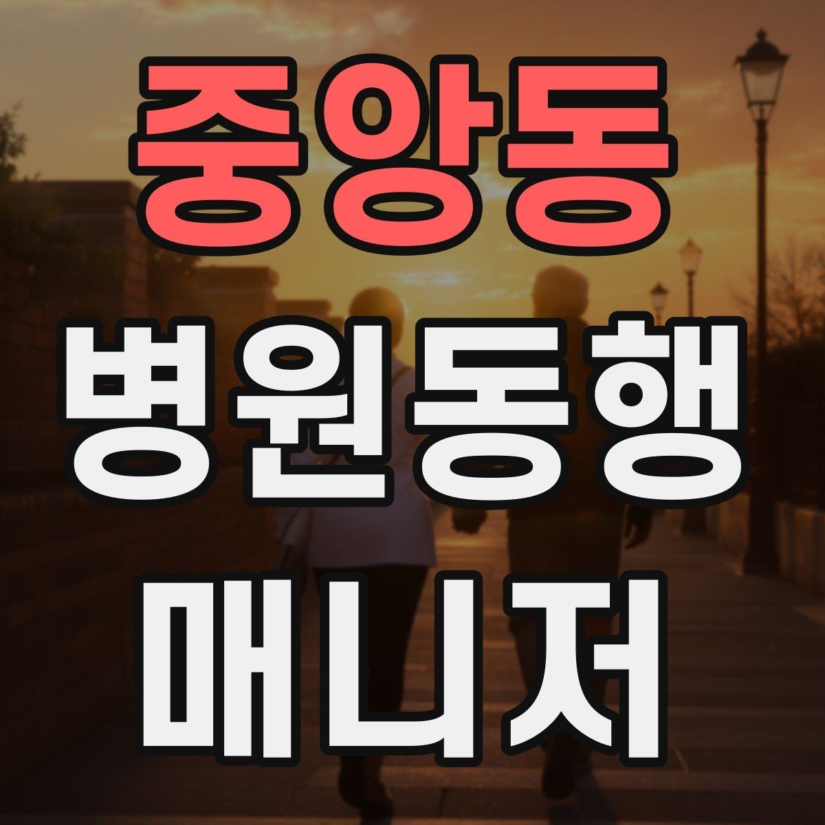 중앙동 병원동행매니저 자격증 청각·시각 불편이 있을 때 동행 팁