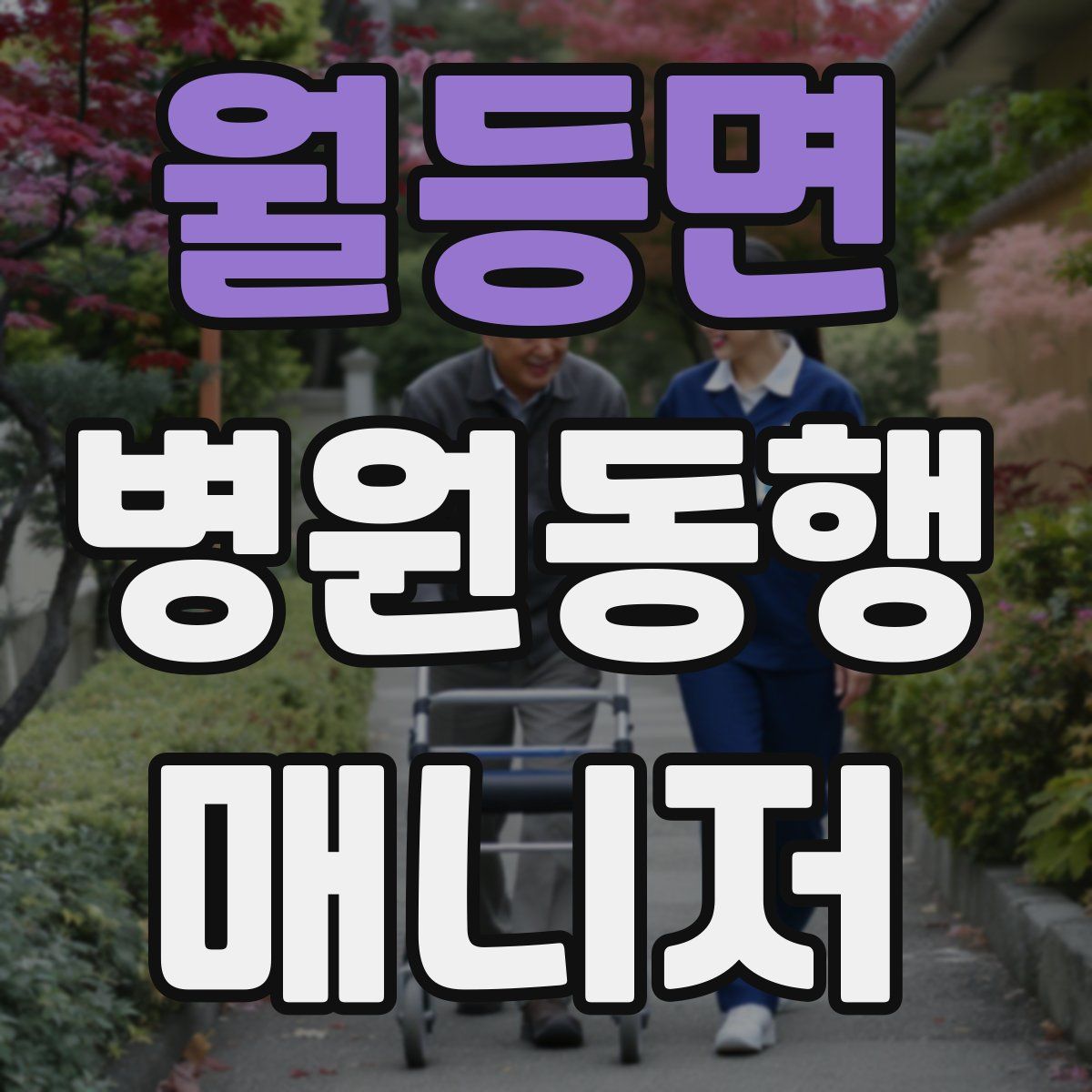 월등면 병원동행매니저 자격증