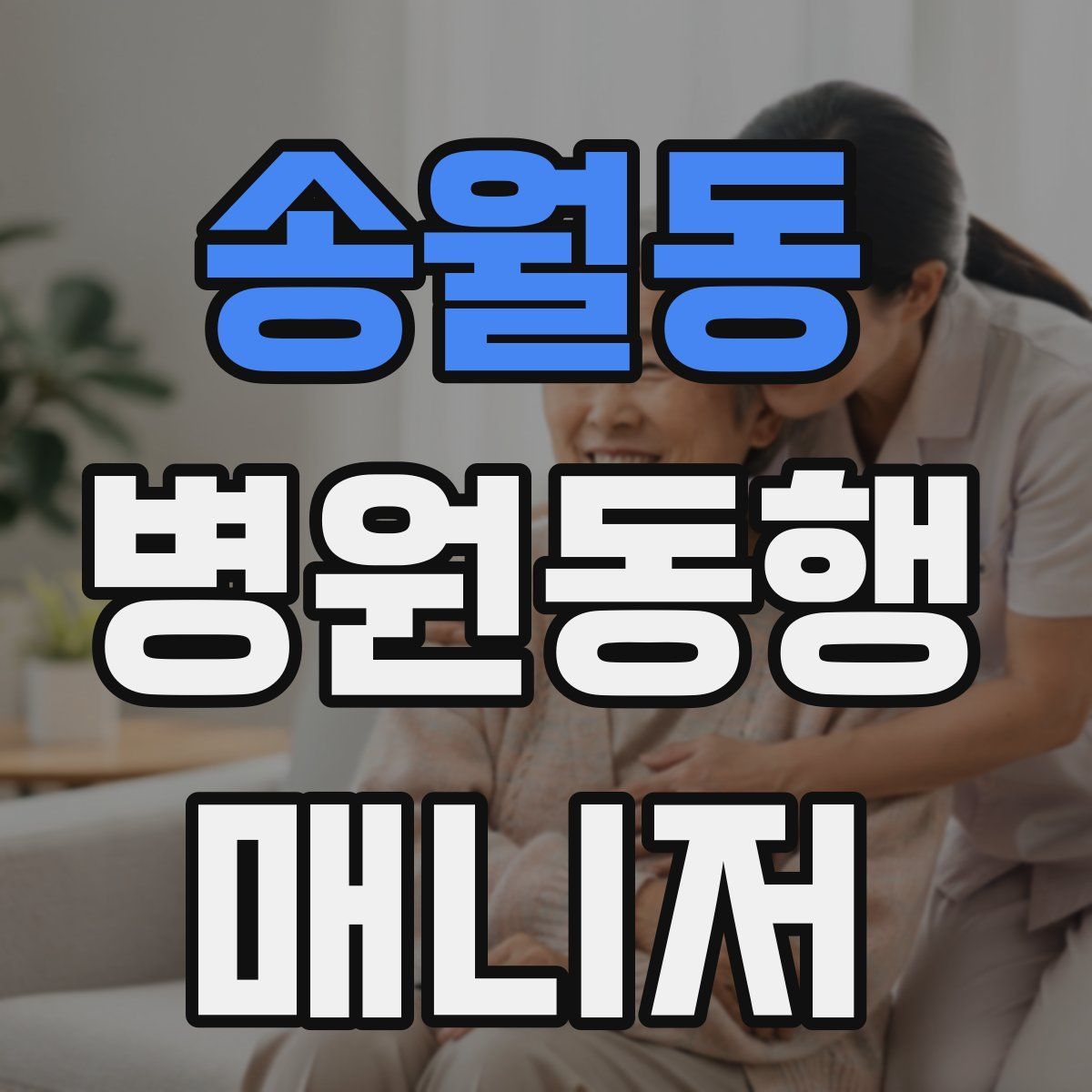 송월동 병원동행매니저 자격증