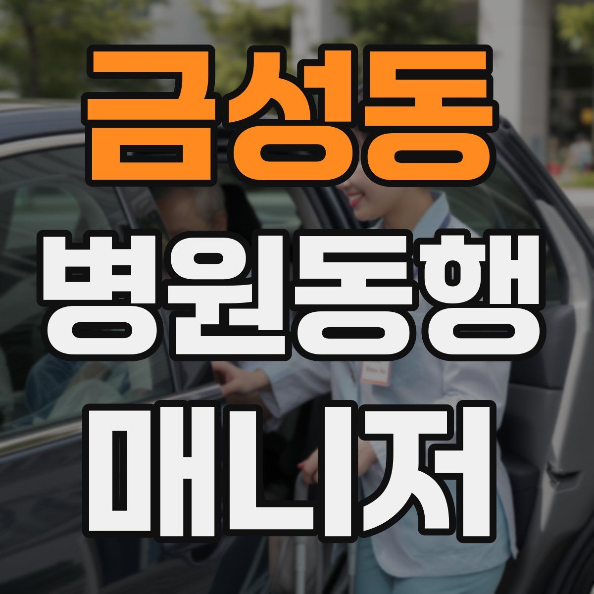 금성동 병원동행매니저 자격증