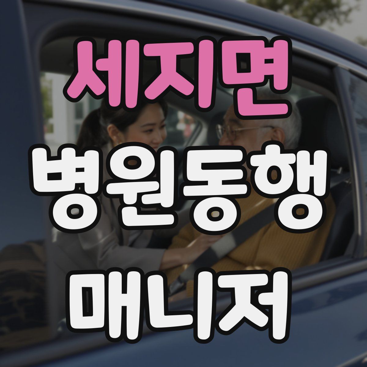 세지면 병원동행매니저 자격증