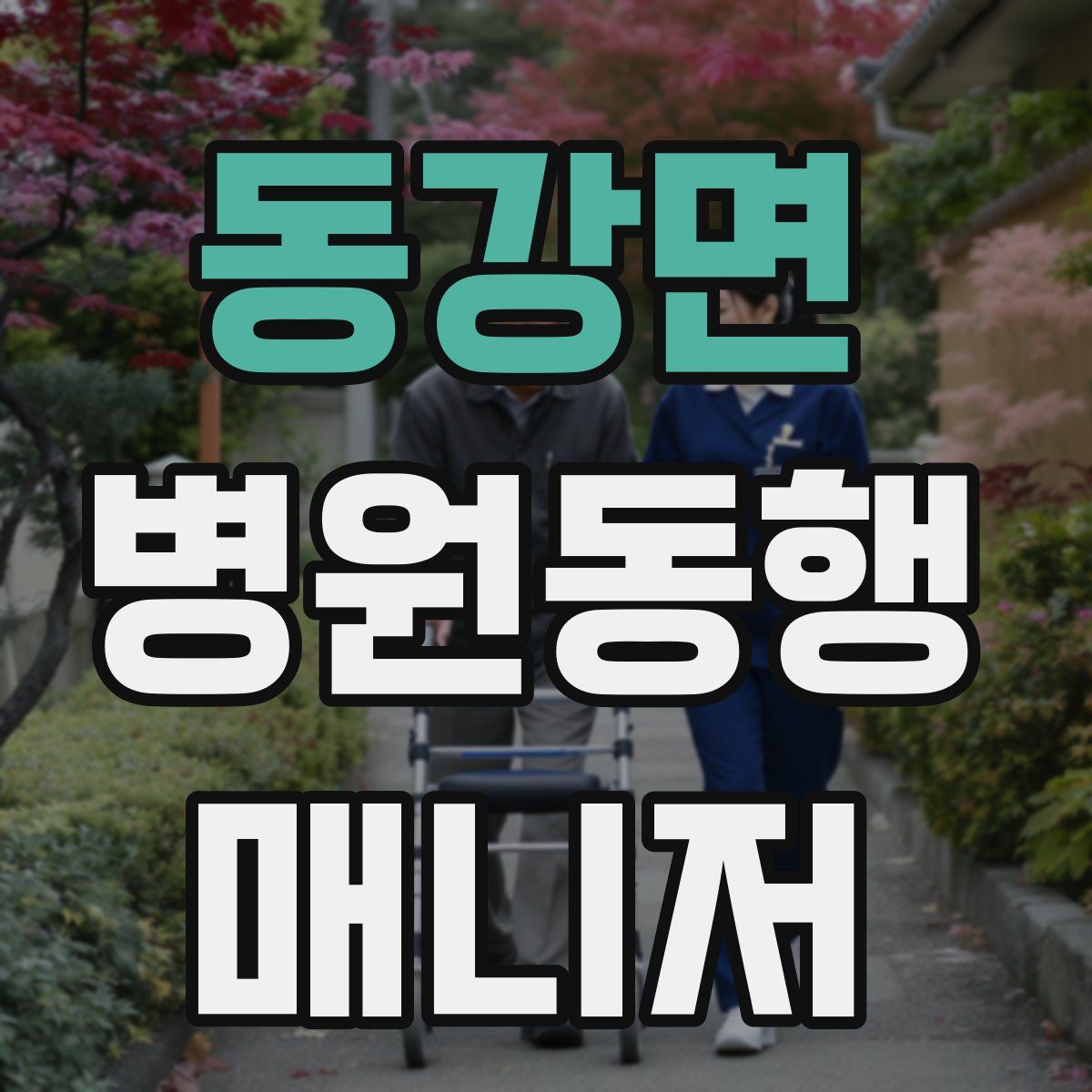 동강면 병원동행매니저 자격증