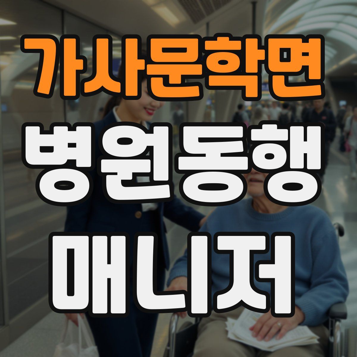 가사문학면 병원동행매니저 자격증